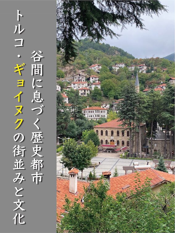 トピックス 宍戸准教授（生活科学科）の研究成果「トルコ諸都市における公共空間の現代的変容に関する研究」が県立図書館で展示されています